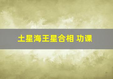 土星海王星合相 功课